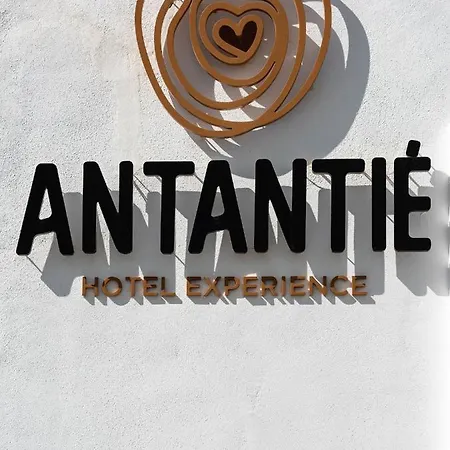 Hotel Antantie