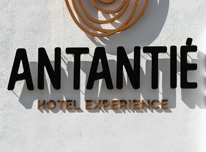 Hotel Antantie