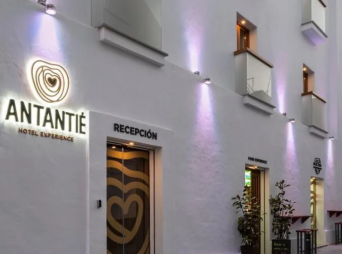 Otel Antantie
